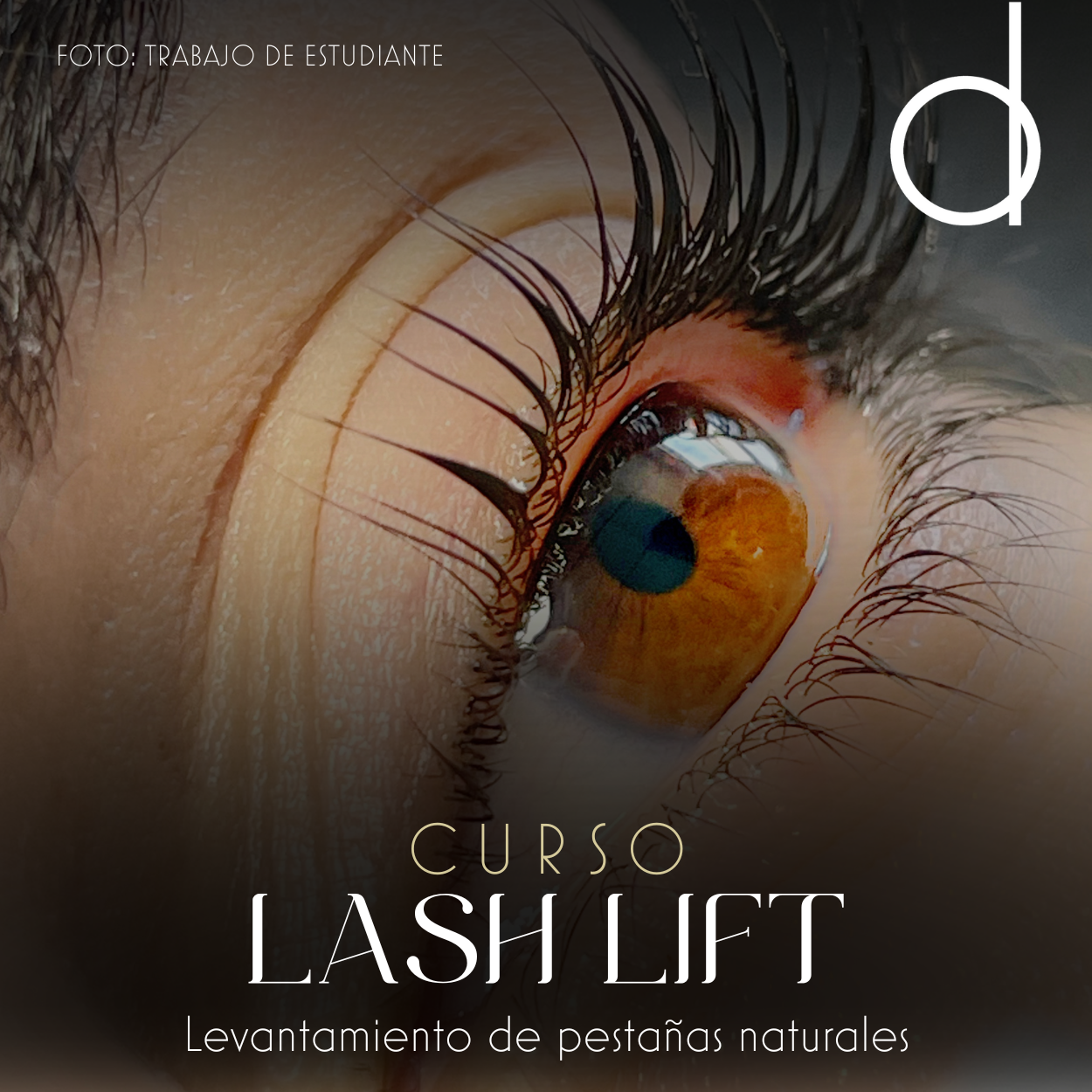 CURSO LASH LIFTING | Presencial